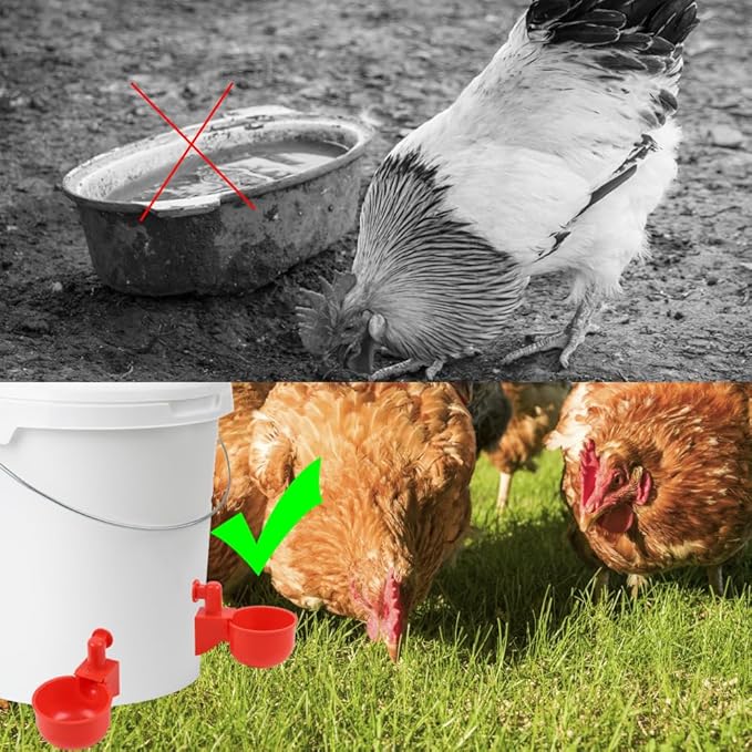6 Pack Large Automatic Poultry Waterer Cups with Mounting Hole Opener, Plastic Chicken Water Feeder Bowls Kit for Chicks, Duck, Goose, Turkey and Bunny