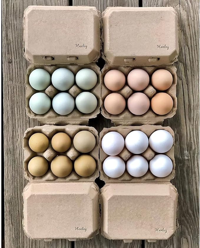 Half Dozen Blank Egg Cartons – Flat Top Half-Dozen Holder, Recyclable Pulp, Ideal for Farm-Fresh Eggs, DIY Custom Labeling, Eco-Friendly Storage - 20 Pack