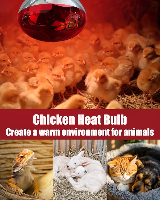 250W R40 Red Heat Lamp Bulbs, 8000 Hours Rated, Infrared Flood Light, Brooder Heating Lamp for Chickens, Reptiles, Pets, Bathroom, E26 Base - 1 Pack