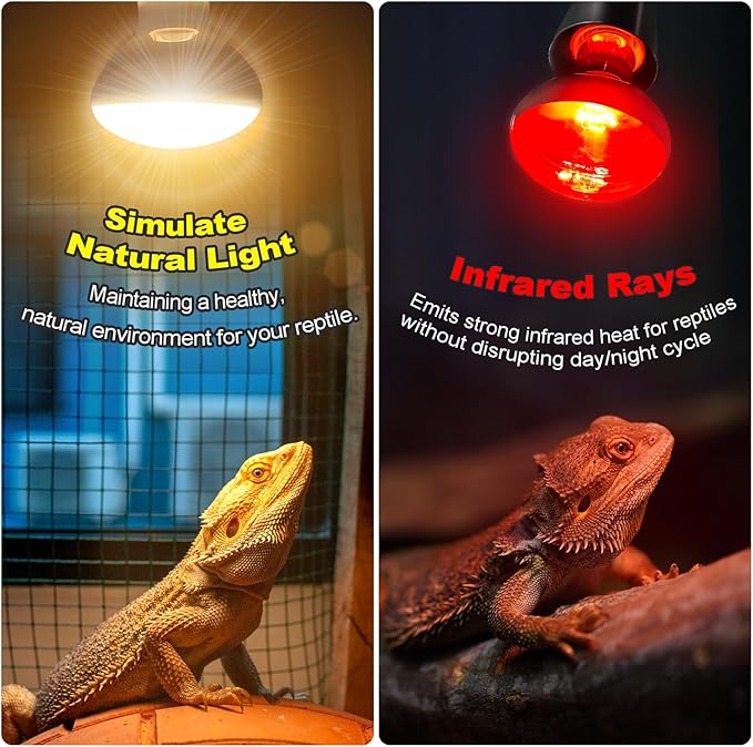 MIXJOY 100W Reptile Heat Lamp Bulb Combo, 2PCS Day & Night Reptile Heat Bulbs, UVA Daylight Intense Heat Basking Bulb Infrared Heat Light Bulb for Reptiles, Lizard, Tortoise, Bearded Dragon Chickens