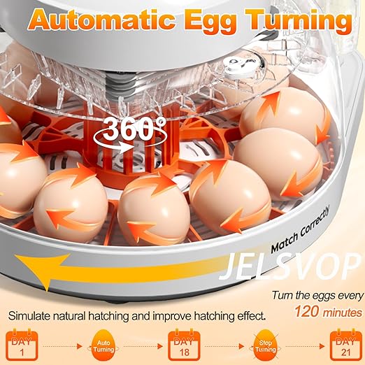 Upgraded Egg Incubator for Hatching Eggs, 12 Egg Capacity with Automatic Egg Turner, Temperature & Humidity Control, LED Egg Candler, Chick Incubator for Chicken, Duck & Quail Eggs