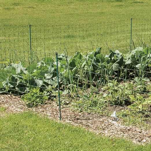 Premier 1 VersaNet® Plus, 30"H x 50'L Portable Electric Garden Net Fence with Built-in Posts | 2" x 2" Strand Spacing at Bottom to Keep Rabbits, Raccoons and Varmints Out of Gardens | Green/Black