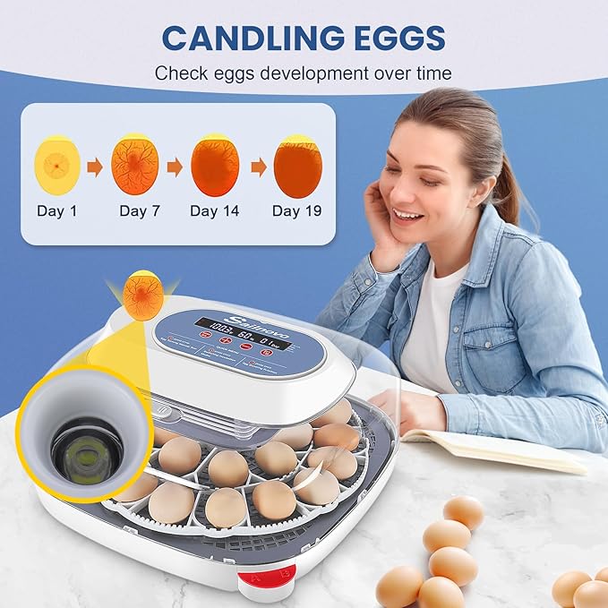 Sailnovo 24 Egg Incubators for Hatching Eggs, 4 Modes Egg Incubator with Automatic Egg Turning and Humidity Display, Egg Candler - 360° View with Clear Window Incubators for Hatching Chicks, Blue