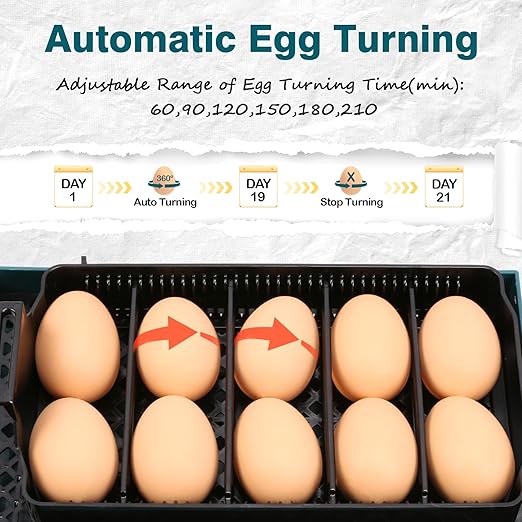 Incubator for Hatching Chicks, 10 Eggs Incubators with Automatic Egg Turning, Temperature and Humidity Control, Egg Candler, Hatching Incubator for Small Poultry, Chicken, Ducks (10 Eggs)