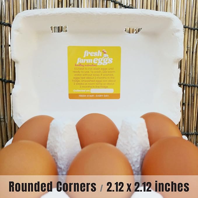 100 Pack Premium Fresh Farm Eggs Handling Instructions Stickers Labels Care Accessories | Egg Blank Cartons 4 6 12 15 18 30 48 50 Count Basket Box Container Storing Extra Organizer -M13SS100