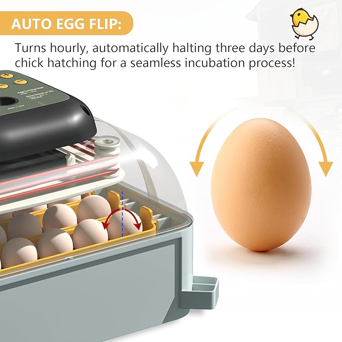 MIKIROY Chicken Egg Incubator with Automatic Egg Turning, Humidity Control, Temperature Control, and Egg Candler – Incubators for Hatching Chicken, Duck and Quail Eggs, Holds 24 Eggs (Gray)
