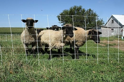Starkline 35" x 164' Premium Electric Sheep & Goat Netting w/Double Spike Fiberglass Posts (9/35/8) Pre-Assembled Electric Fence for Backyards, Homesteaders, Farms and Ranches