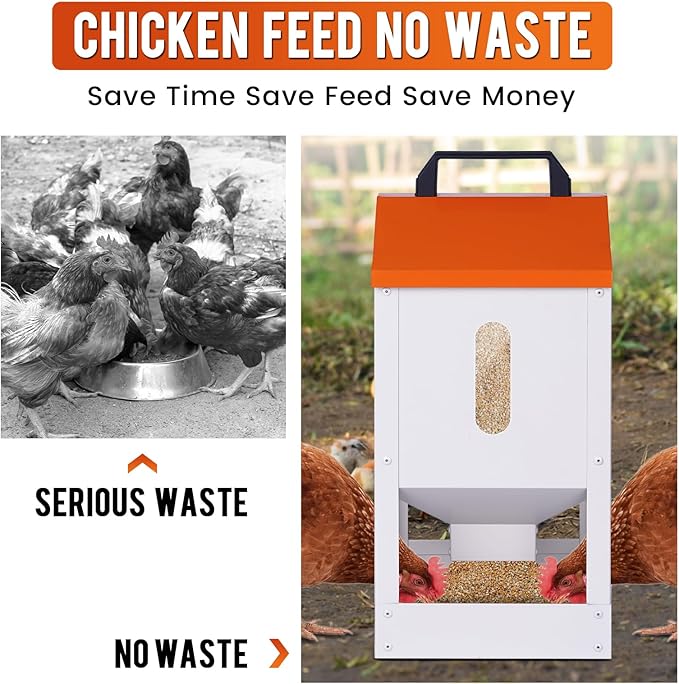 Galvanized Automatic Chicken Feeder No Waste 20lbs Large Metal Chicken Feeders Trough Dispenser Outdoor Poultry Feeders with Visual Window and Weatherproof Lid for Chickens Ducks Geese Turkeys Quails