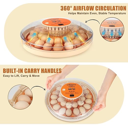2nd Gen 30 Egg Incubator, Wide-Range Humidity with Manual Water Fill, Stable Temp Control, Dual-Size Egg Slots, Auto Egg Turning, Candler, Real-Time Display for Hatching Poultry Eggs