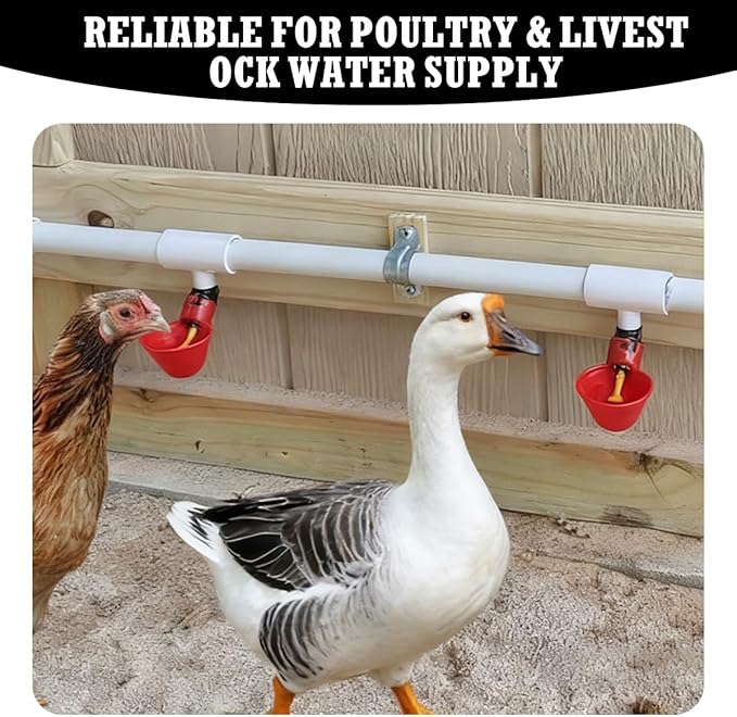 50 Pack Chicken Waterer PVC Tee Fittings, PVC Tee Fitting for Threaded Poultry Nipples Water Drinker and Feeder Cups, Chicken Automatic Poultry Waterers