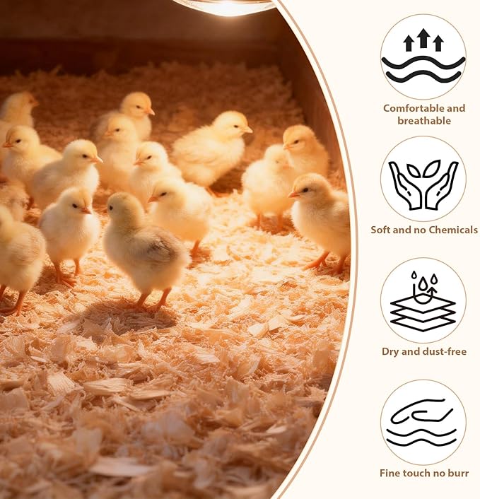 1LB/2LB Chicken Coop Bedding for Chicks– White Poplar Wood Shavings, Ultra-Absorbent Chick Brooder Bedding, Natural Odor-Control Wood Flakes for Keep Coop Dry Clean and Tidy (2LB)