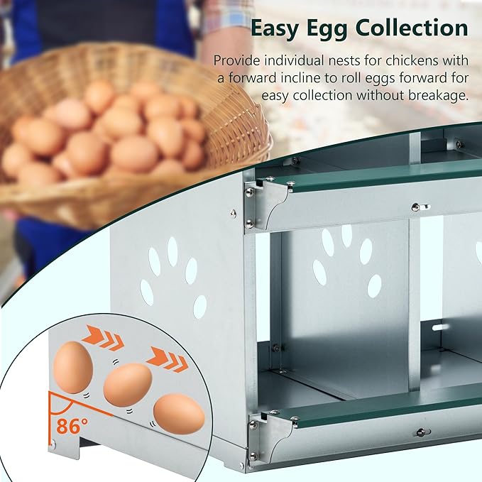 4 Compartment Metal Wall Mount Chicken Nesting Boxes with Easy Egg Collection, Individual Nests for Different Chicken Breeds, 22.05 x 16.92 x 25.59 Inches