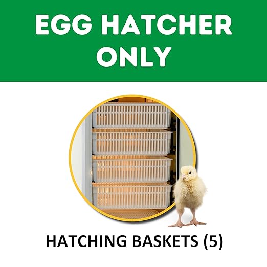 Incubators for Hatching Eggs – HB175H Egg Incubator Hatcher, Automatic & Self-Regulated Temperature & Humidity, Chicken Egg Incubator, Professional Cabinet Poultry Incubator by Cimuka