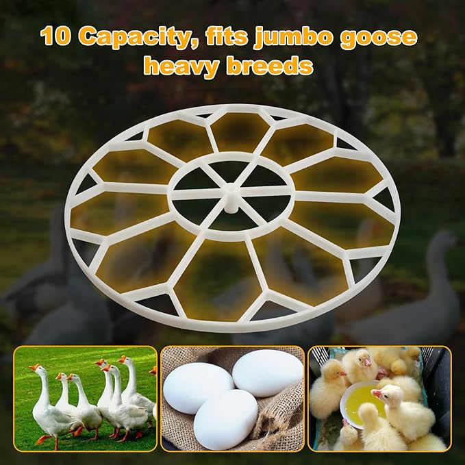 10 Egg Capacity Jumbo Goose Heavy Breeds Tray Compatible with Nurture Right 360 Incubator Turner, White JGT360