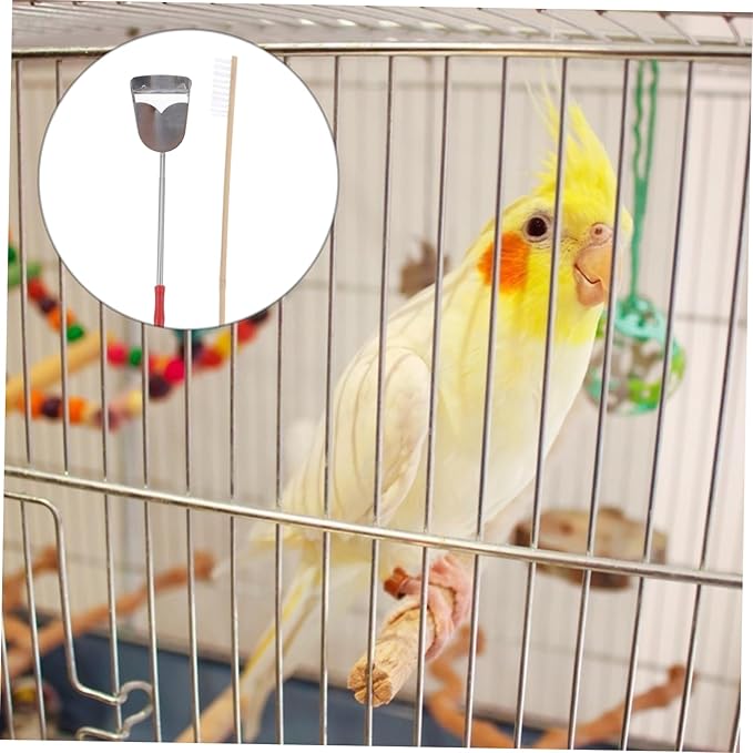 BESPORTBLE 2pcs Parrot Cage Cleaning Tool Set Brush and Shovel for Pet Bird Care for Pets Create Living Environment Selection