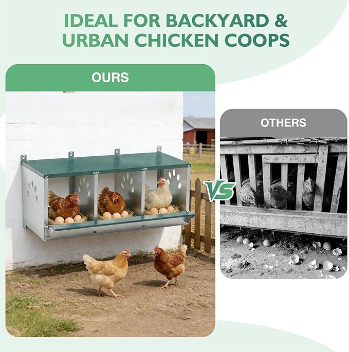 EAGLE PEAK 3-Hole Wall Mounted Chicken Nesting Box, Roll Away Hen Laying Box with Sloped Roof & Easy Clean Tray, Galvanized Steel for Backyard Chicken Coops (Green)