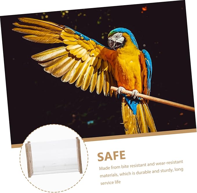 VANZACK Rutin Automatic Poultry Food Feeder Transparent Multi Use Chicken Feeding Box for Parrots and Birds Easy Installation for Home and Professional Use