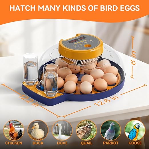 18 Egg Incubator for Hatching Eggs, Chicken Incubator with Automatic Turner, Digital Temperature Control & Humidity Display, Built-in Egg Candler, for Hatching Chicken, Duck, Goose, Home, School Use