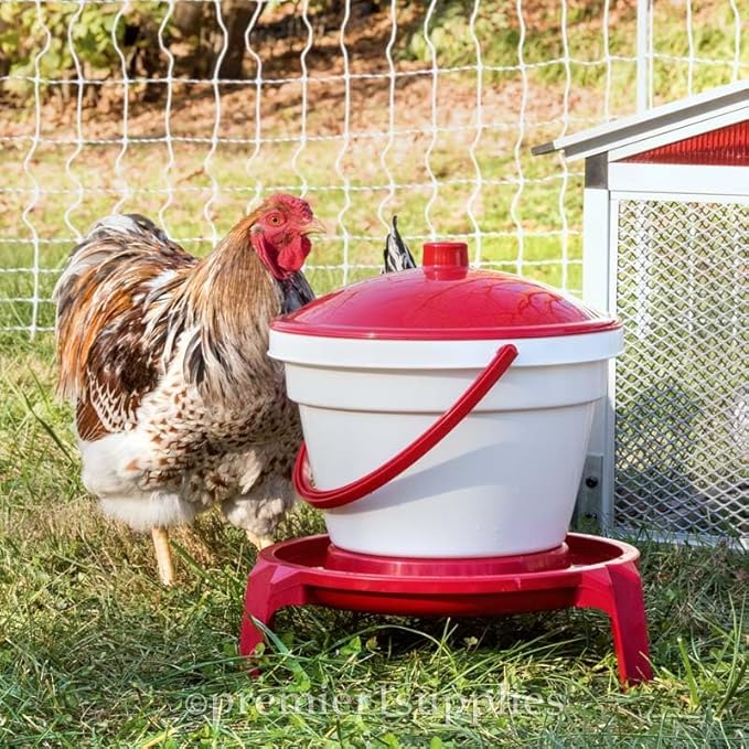 Premier 1 Quick Clean Poultry Waterer for Chickens & Poultry - 3 Gallon