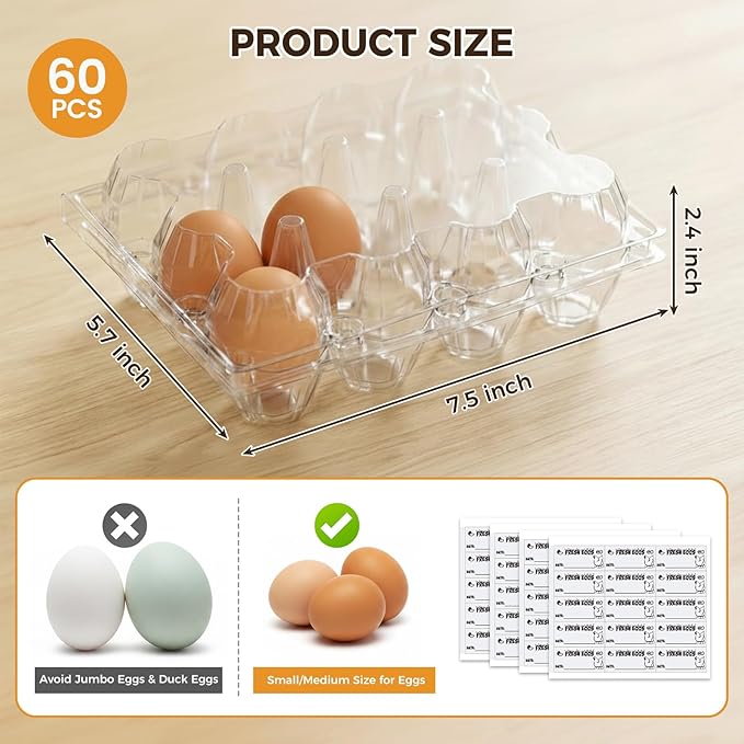 HANSGO 60 PCS 12 Count Plastic Egg Cartons, with 60PCS Date Labels, Bulk Clear Reusable Egg Containers for Fresh Medium Eggs Storage, Suitable for Farms, Families, Markets Display