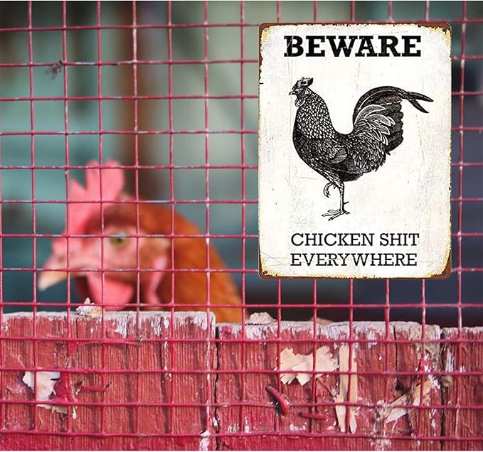 6 Piece Metal Signs Chicken Signs for Funny Coop Decor Signs for Outdoor Decor Farm Plaque Yard Chicken Coop Gift for Chicken Lovers Chickens Plaque 8x12 Inch