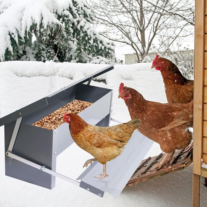 Automatic Chicken Feeder 5L Treadle Galvanized Steel Poultry Feeders Self-Opening Automatic Food, with Weatherproof Lid Rain Cover for Roosters Pheasant Chicken Outdoor Coop