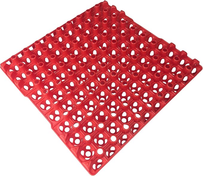 Hen's Choice 90 Egg Plastic Trays for Quail, Pigeon, Dove, Birds. Incubator Flat Carton (Red, 6 Pack)