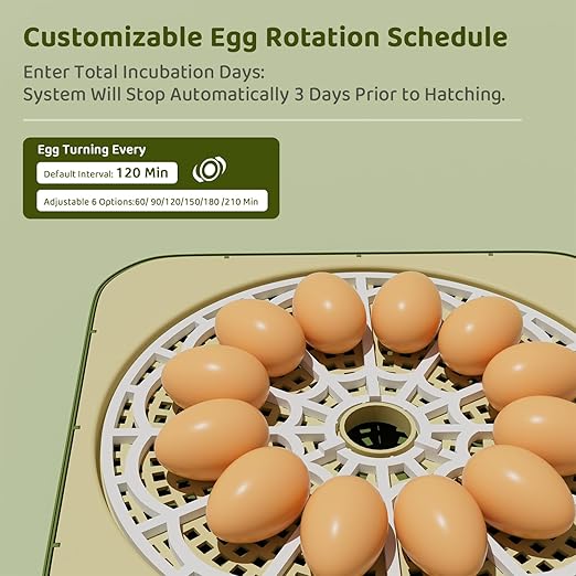 Ovatt 12-Egg Incubator with LED Display, Automatic Temperature and Humidity Control, and Automatic Egg Turner for Chicken, Duck, Quail, and Goose Eggs—Ideal for Home and Small Farms