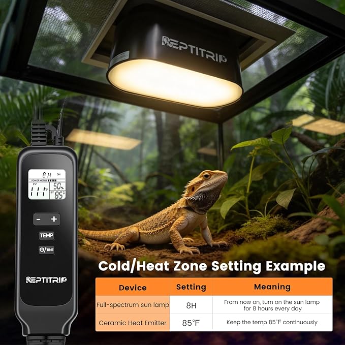 Reptile Heat Lamp with Timer & PID Dimming Thermostat, Dual Reptile Light Fixture, Bearded Dragon Terrarium UVB Bulb Fixture, Max 160W Per Socket (No Bulbs)