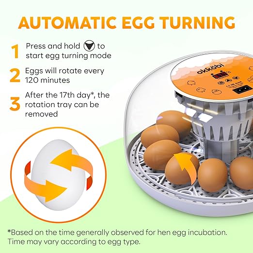 Okkobi M12 Egg Incubator with Automatic Turner and Humidity Control - 12/24 Eggs, 360° View, Easy to Use and Clean - Incubadora de Huevos de Gallina - Made for US - White & Orange
