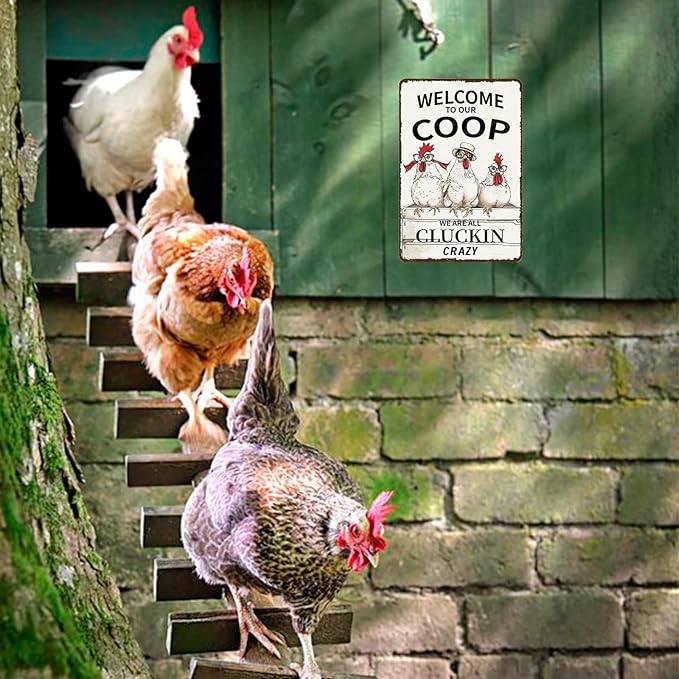 Metal Signs Welcome To Our Coop Sign Vintage Aluminum Tin Sign Chicken Coop Signs for Farmhouse Yard Garden Fence Outside Chicken Coop Wall Decor 12x8 Inch