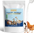 BARAVI Hen Digestive Supplement - 7.05OZ | Probiotics, Digestive Enzymes & Electrolytes | Essential Vitamins for Adult Poultry Health (Red, S)