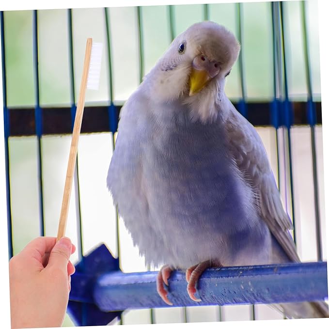 ibasenice 2pcs Efficient Bird Cage Cleaning Brush Set Brush Scoop Small Animal Cage Accessory Pet Bird Cleaning Tools