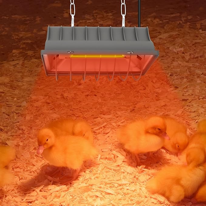 Chicken Coop Heater Lamp,250W Brooder Heating with Temperature Control Adjustable Hanging Height for Chicken,Cat Bed,Dog Kennel,Reptiles & Incubators,Poultry Heating Warm in Winter