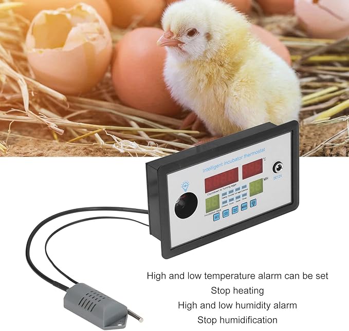 plplaaoo Intelligent Incubator Thermostat,DC 12V 100W Egg Incubator Temperature Controller, Digital Automatic Egg Hatching Incubators Controller for Hatching Duck Eggs Goose Egg