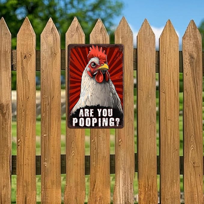 Funny Chicken Signs Chicken Humor Are You Pooping Aluminium Sign Metal Chicken Signs Decor Home Ktichen Farm Are Wall 12x8 Inch Vintage Chicken Signs For Coop Metal Tin Signs Poster