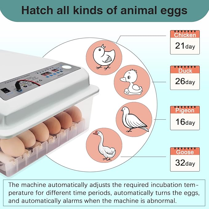 Incubators for Hatching Eggs, Egg Incubator with Automatic Egg Turning and Humidity Control, Egg Incubator for Chicken Quail Duck Pigeon Eggs(36 Eggs)
