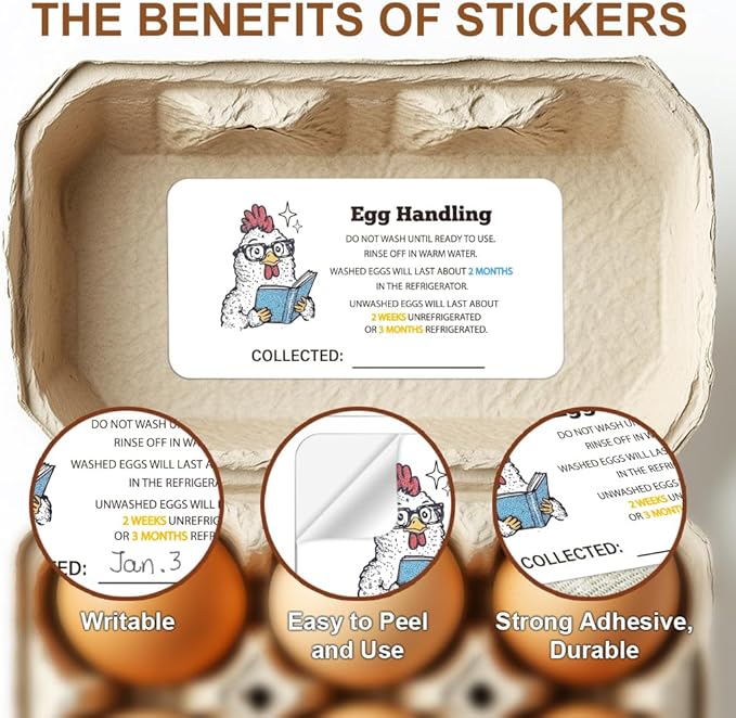 160 Pcs Egg Carton Labels, Eggs Handling Stickers Farm Fresh Laid on Sticker PET Adhesive Egg Packaging Sticker for Box Container Carton Farm Supplies, 2x4 Inch