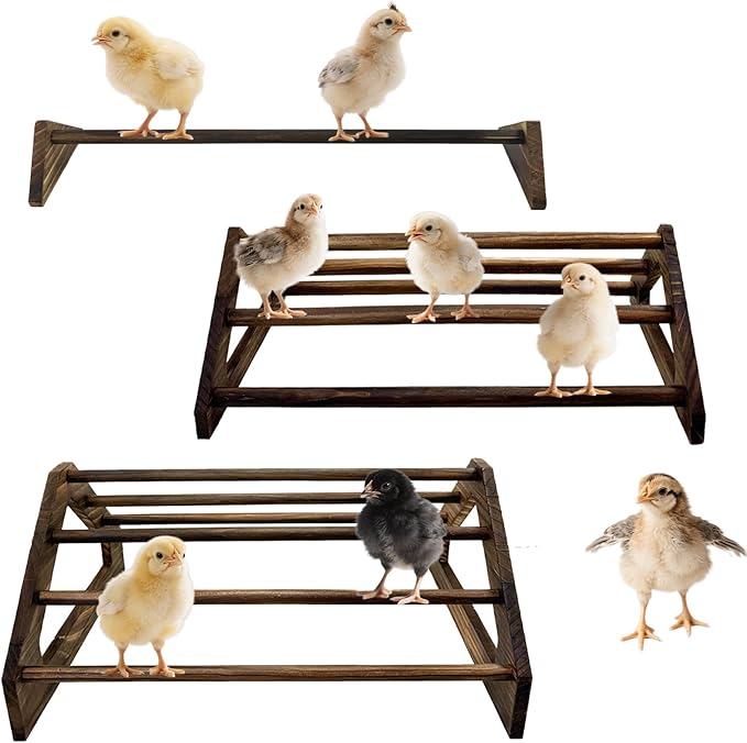 Chicken Perch 3 Pack Chick Toys Wooden Roosting Bar Chicken Coop Accessories for Brooder Training Perch for Baby Chick, Bird Parrot Easy to Assemble and Clean