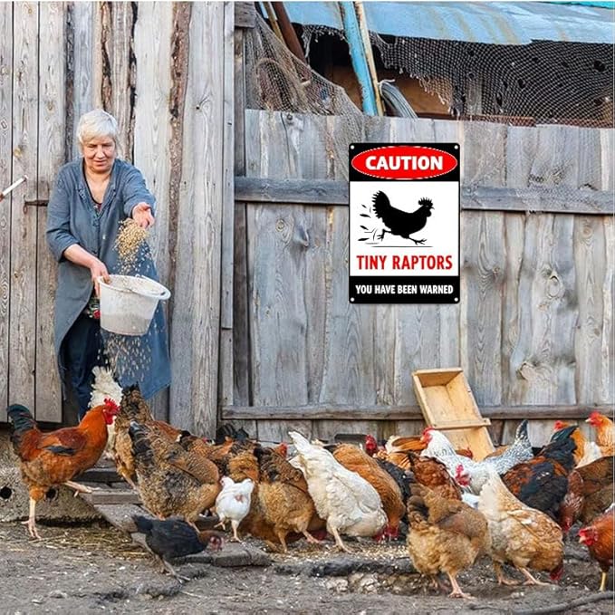 Caution Tiny Raptors Sign Aluminum Chicken Coop Signs for Farm Kitchen Rooster Hen House Decor Beware of Chicken Signs for Chicken Lady Lovers, 6x8inches