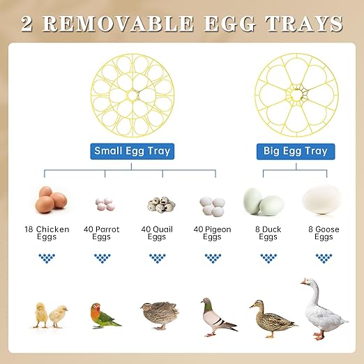 Incubators for Hatching Eggs, 18-Egg Incubator with Automatic Egg Turning and Humidity Control, Egg Candler, External Water Filling, Incubator for Chicken Eggs