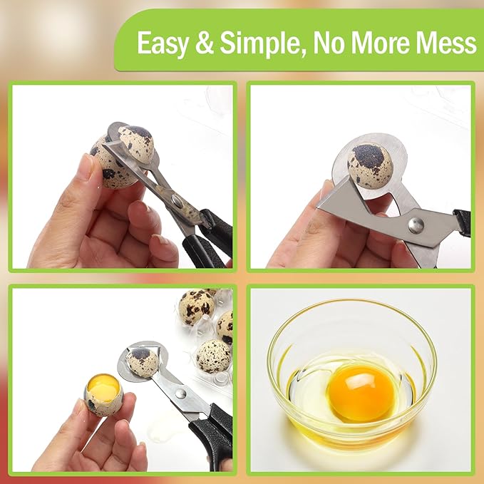Adecco LLC Pigeon Quail Egg Cutter Scissors Stainless Steel Blades Bird Cutter 2 Pack (Quail Egg Scissor)
