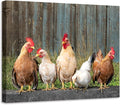 Woxfcart Kitchen Chicken Decor Wall Art, Farmhouse Rustic Barn Animal Canvas Pictures with Wood Background for Bathroom Bedroom, 15 x 12 Inch