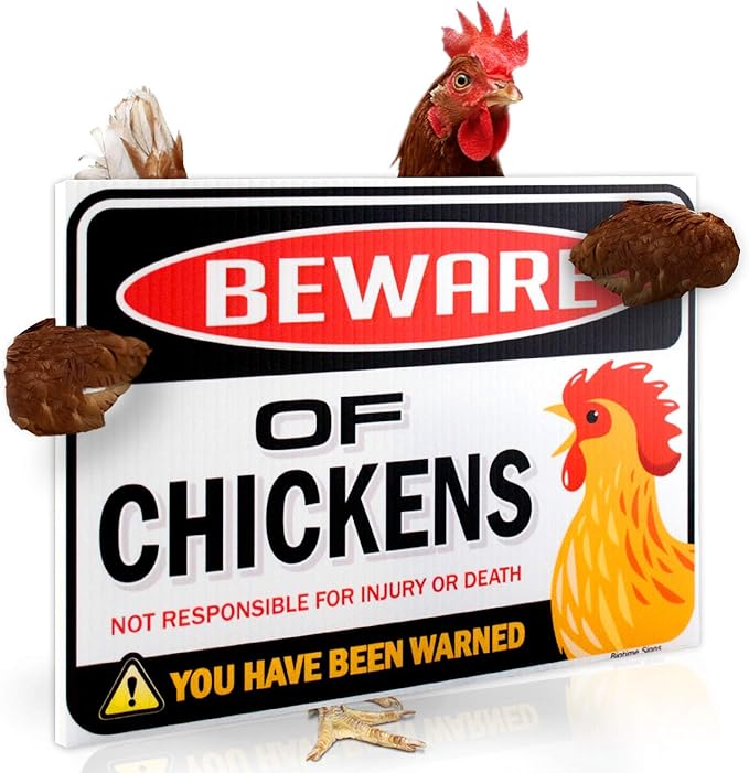 Bigtime Signs Beware of Chickens PVC 9"x12'' Decor Funny Warning Sign - Chicken Yard Decorations Chicken Coop Accessories - Chicken Gifts for Chicken Lovers - Chicken Coop Signs