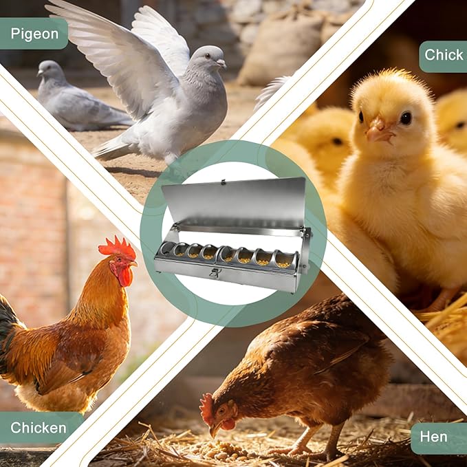 Hanging Chicken Feeder Metal Poultry Feed Trough Chicken Coop Fence Feeder with Rain Cover for Pigeon Turkey Geese Quails Ducks Bantams and Bird