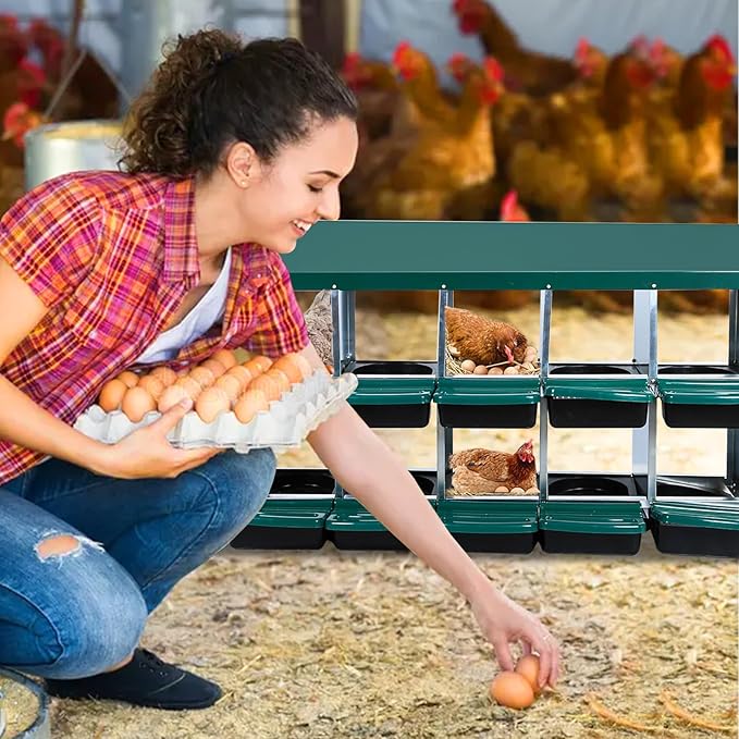 Metal Nesting Box for Chickens (10 Holes) - Heavy Duty Galvanized Steel Hen Laying Box, Outdoor Poultry Nest for Hens, Farm & Ranch Poultry Habitat Supplies