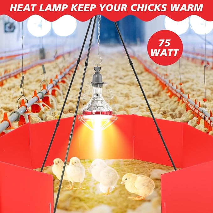 9 Pack Winter Chicken Brooder Box Starter with Heating Plate and 75w Heat Lamp, 0.8 Gallon Heated Chicken Waterer Fountain with Perch Set, 2.9 Lbs Flip Top Poultry Feeder for Coop Chick