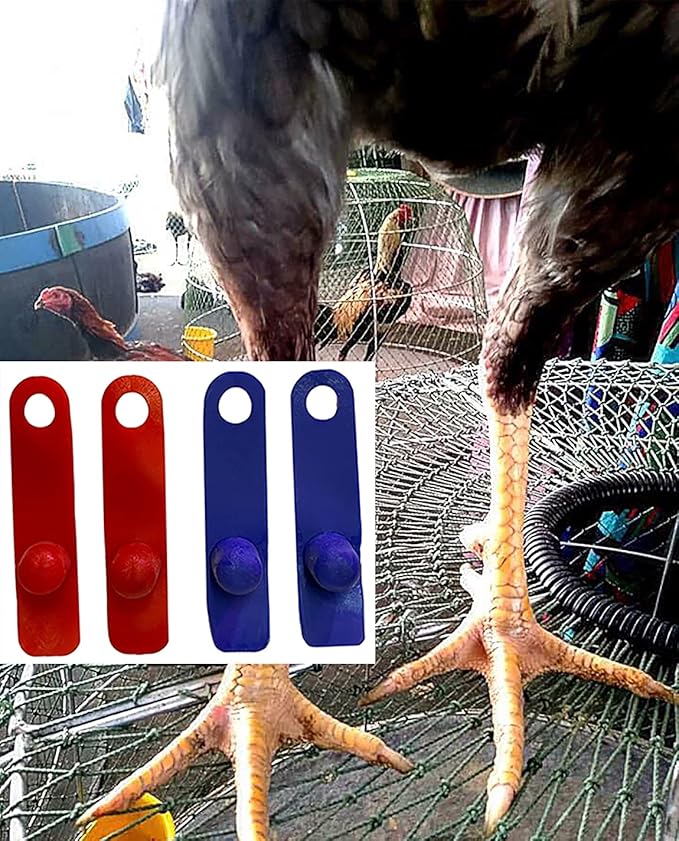 A.D.P. R1 Rooster Booster Protection Chicken Mitt Safety Poultry Bird Botas para GALLOS BREEDING Supplies 2 Pairs Color Blue & Red, Leg Protect & Care, Best Rubber