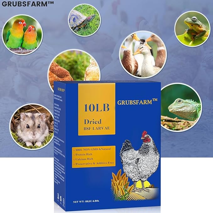 GRUBSFARM Dried Black Soldier Fly Larvae 10LB – Non-GMO Poultry Treat for Chickens, Molting & Laying Hens, Resealable Bag