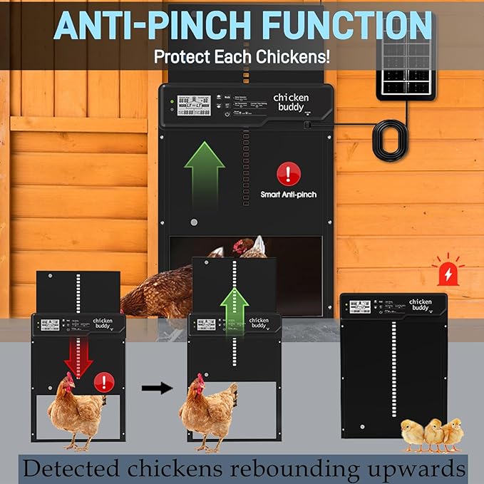 Large Automatic Chicken Coop Door Solar Powered - Aluminum Alloy Auto Chicken Door with Timer, Light Sensor, 4 Modes, LCD Display & Anti-Pinch Tech - for Chickens, Ducks, Geese
